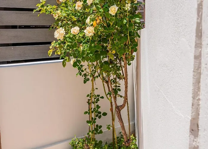 בית נופש Helios House