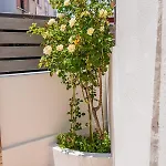 Сasa de vacaciones Helios House