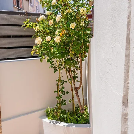 Tatil Evi Helios House